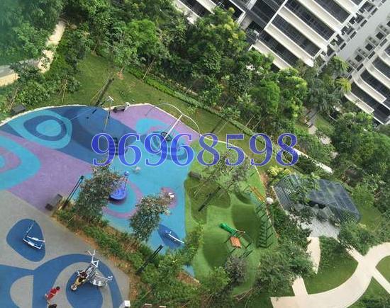 The Palette (D18), Condominium #134145872